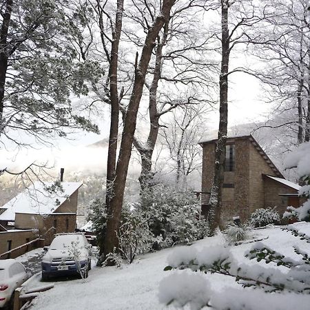 Altos Del Alma Cabanas San Martín de los Andes Zewnętrze zdjęcie